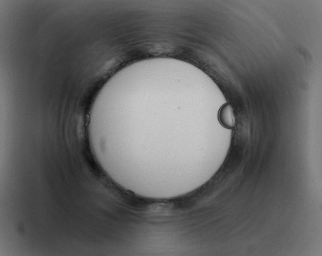 X0000116820700200912312016