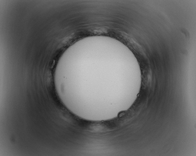 X0000116820704200912312016