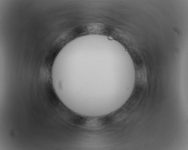 X0000116820705200912312016