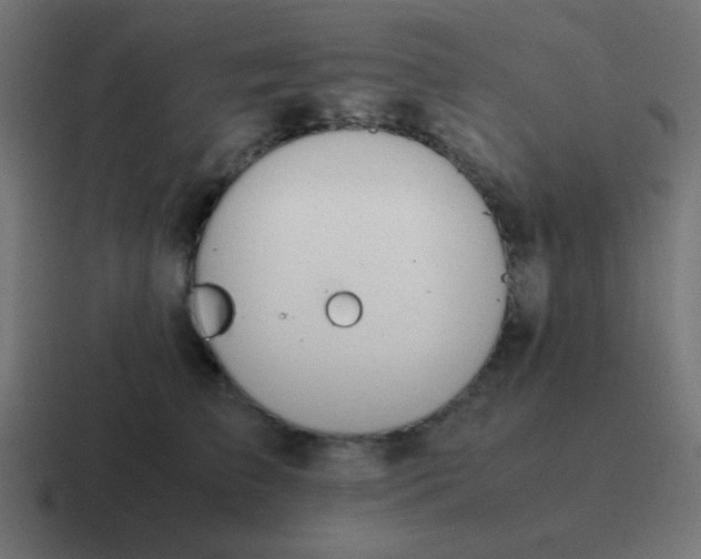 X0000116820709200912312016