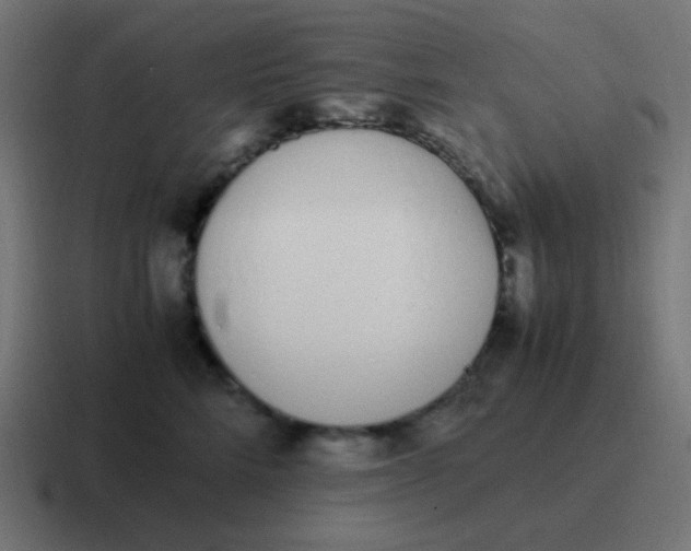 X0000116820712200912312015