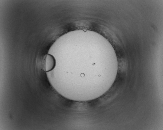 X0000116820713200912312015