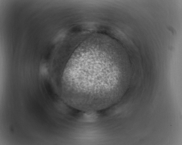 X0000116820720200912312015