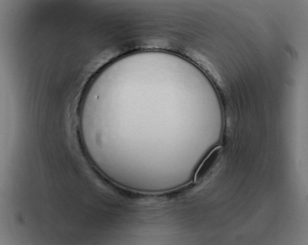 X0000116820721200912312015