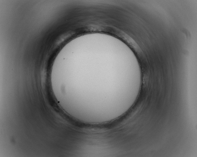 X0000116820722200912312015