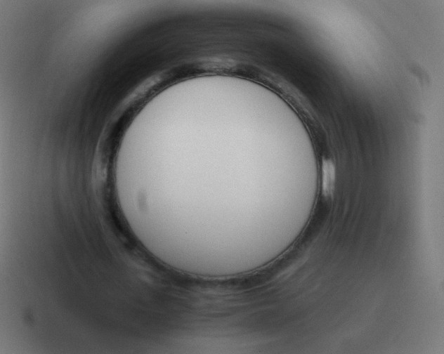 X0000116820723200912312015