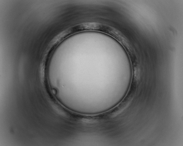 X0000116820725200912312015