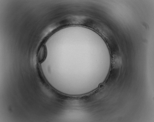 X0000116820726200912312015