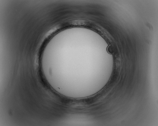 X0000116820727200912312015