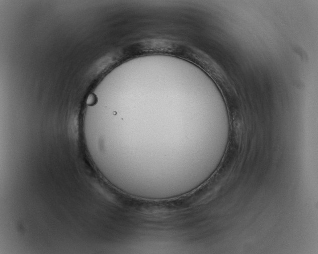 X0000116820729200912312015