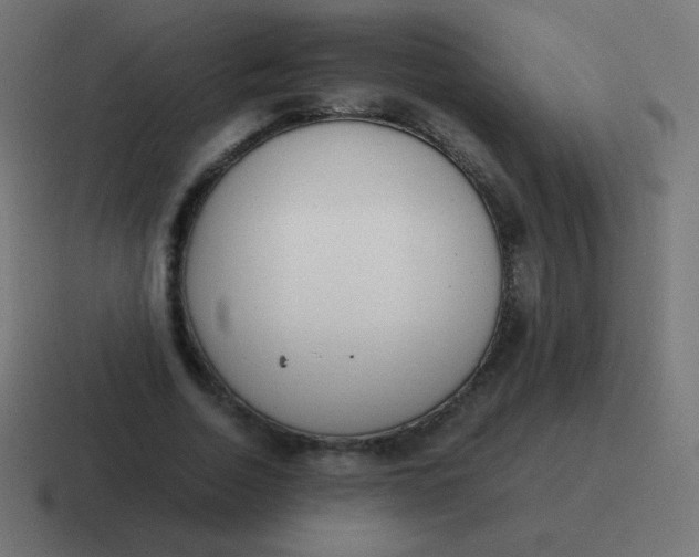 X0000116820730200912312015