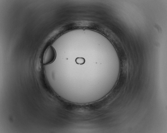 X0000116820731200912312015