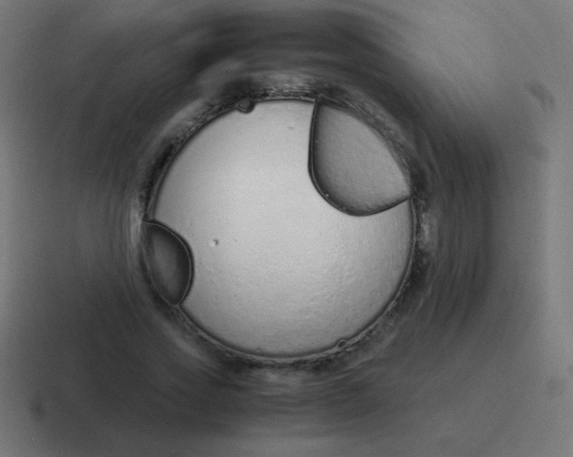 X0000116820733200912312015