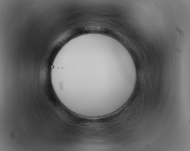 X0000116820735200912312015