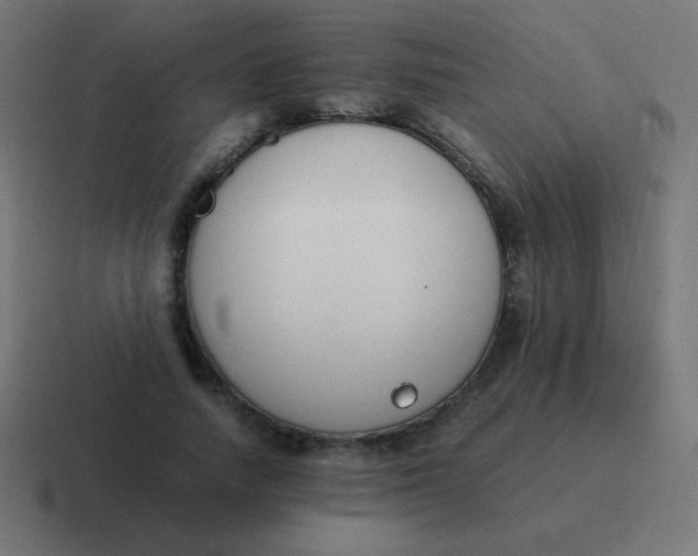 X0000116820738200912312015