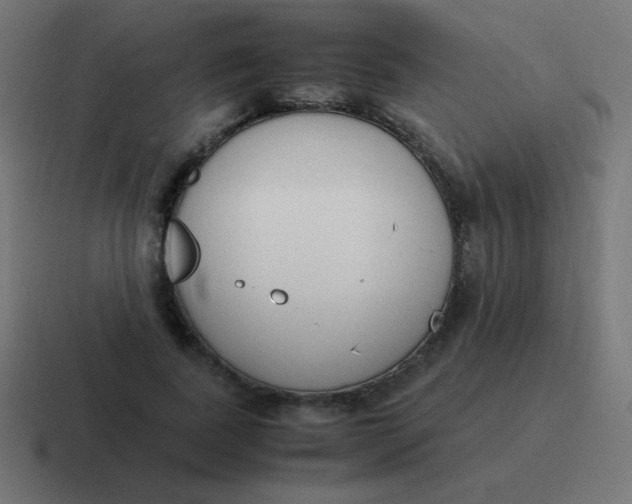 X0000116820739200912312015