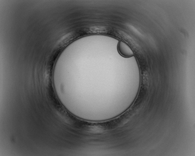 X0000116820741200912312015