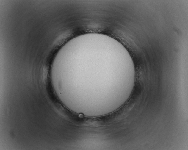 X0000116820742200912312015