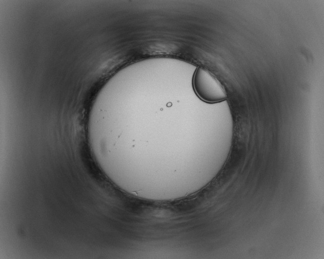 X0000116820743200912312015