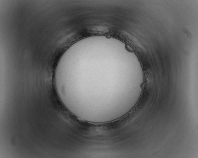 X0000116820745200912312015