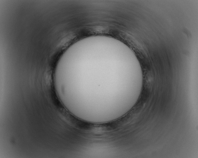 X0000116820746200912312015