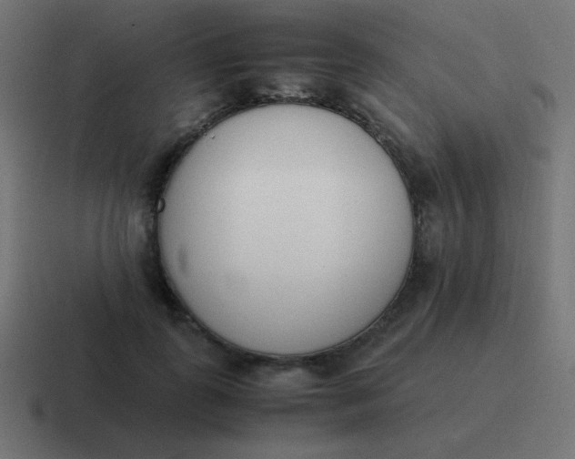 X0000116820747200912312015