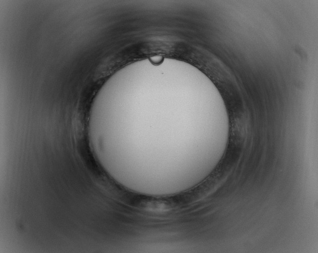 X0000116820751200912312015