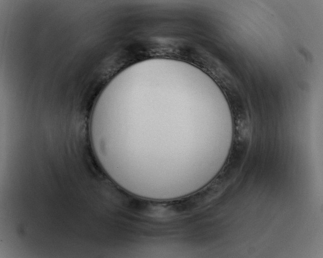 X0000116820753200912312015