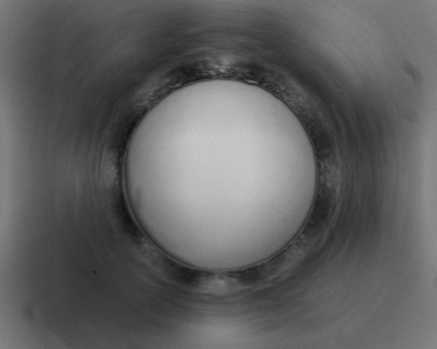 X0000116820754200912312015