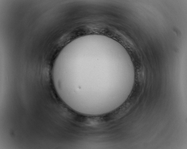 X0000116820757200912312015