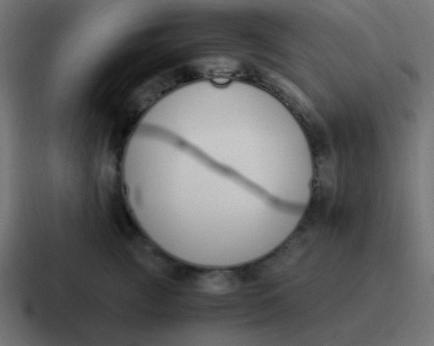 X0000116820761200912312015