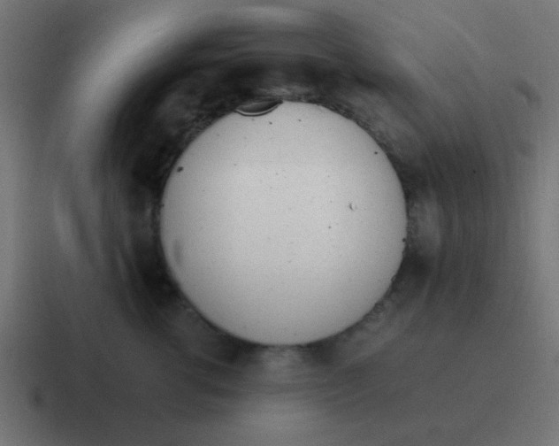 X0000116820762200912312015