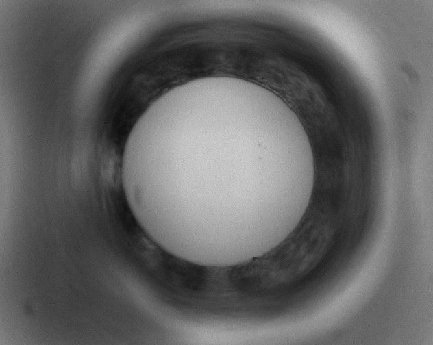 X0000116820766200912312015