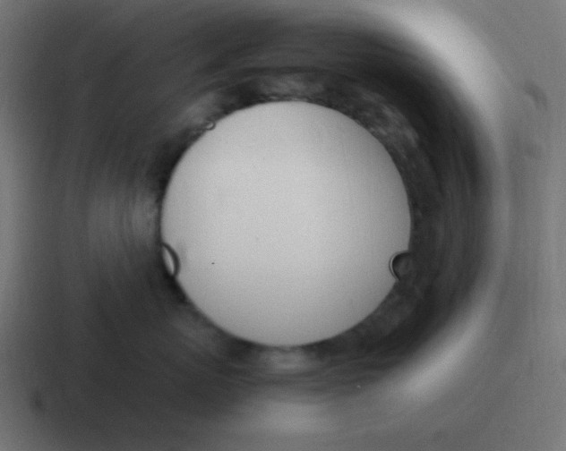 X0000116820767200912312015