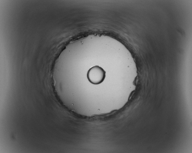 X0000116820769200912312015