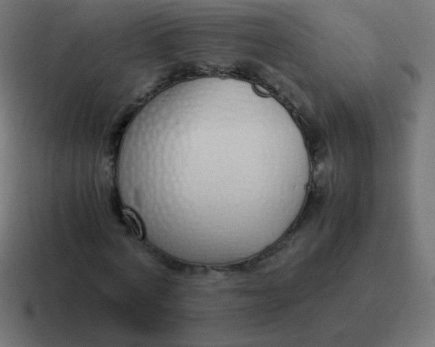 X0000116820772200912312015