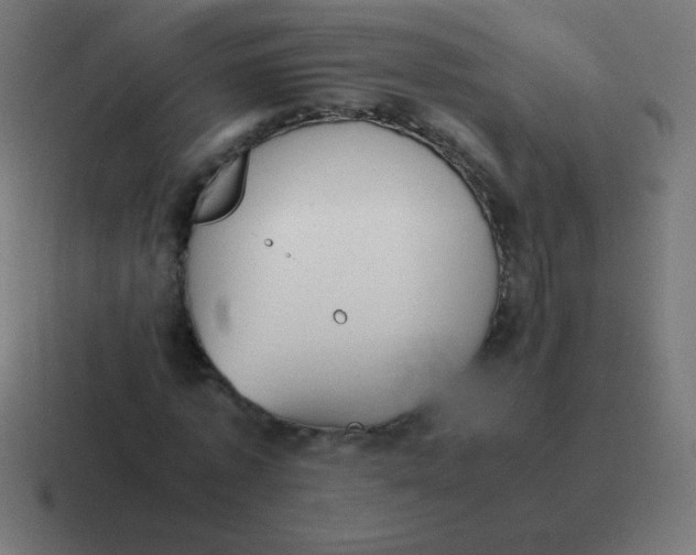 X0000116820773200912312015