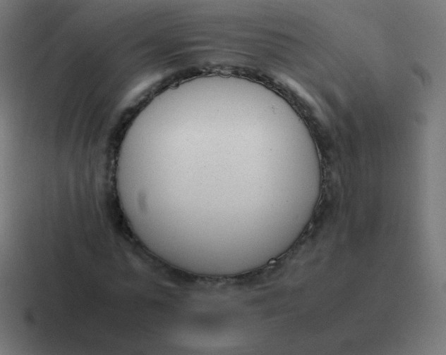 X0000116820775200912312015