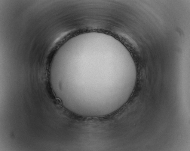 X0000116820776200912312015