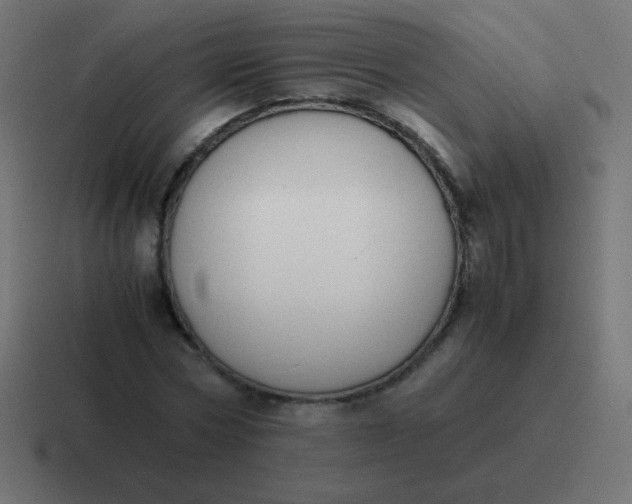 X0000116820778200912312015