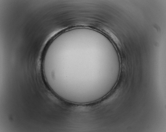 X0000116820779200912312015