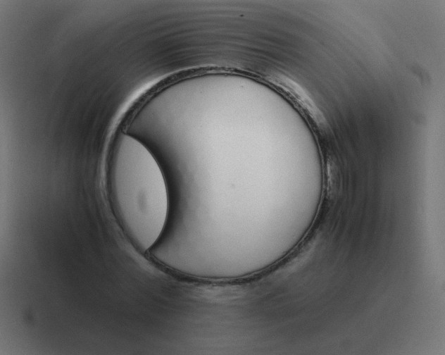 X0000116820780200912312015