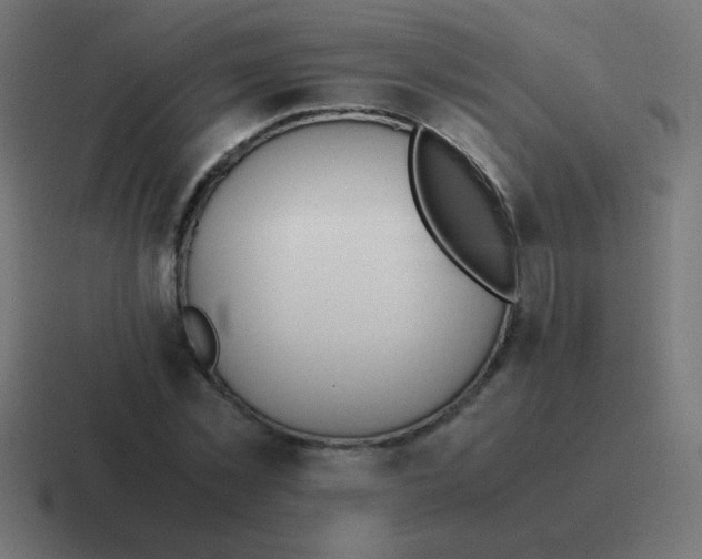 X0000116820781200912312015