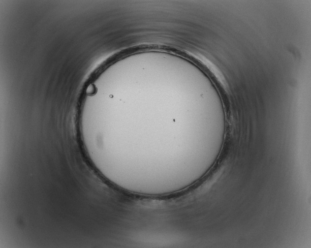 X0000116820783200912312015