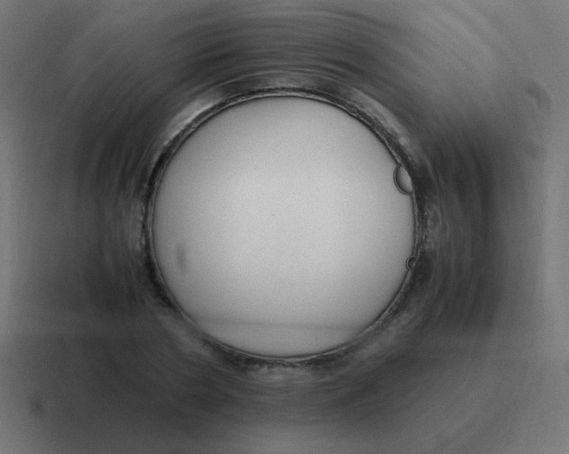 X0000116820786200912312015