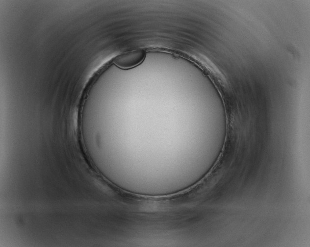 X0000116820790200912312015