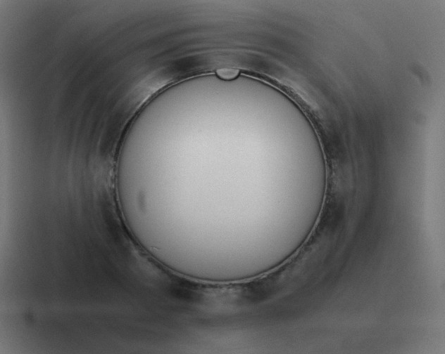 X0000116820793200912312014