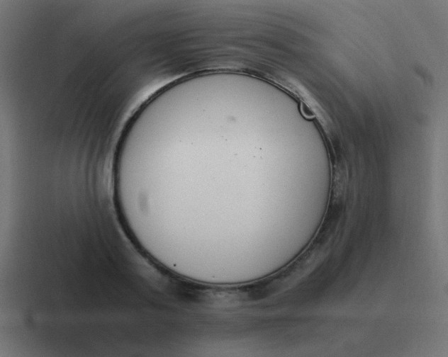 X0000116820795200912312014