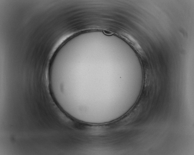 X0000116820796200912312014