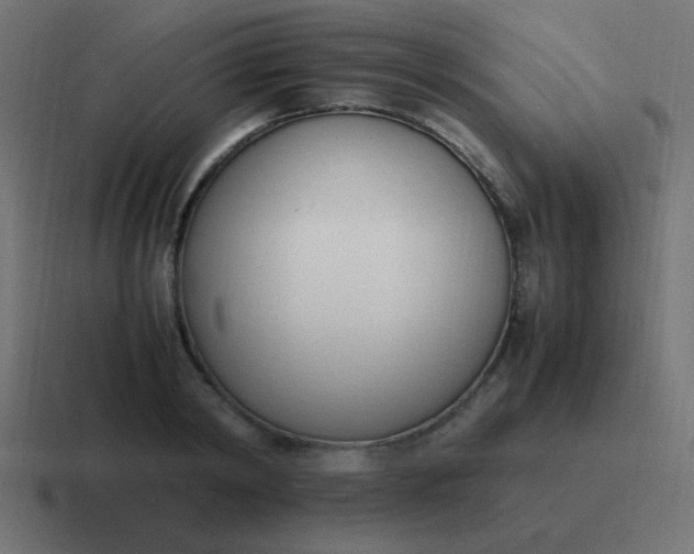 X0000116820798200912312014